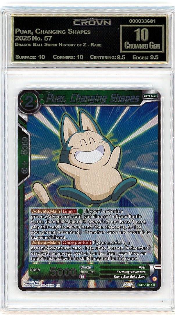 Puar, Changing Shapes