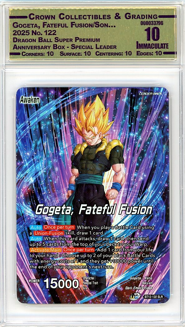 Gogeta, Fateful Fusion/Son…