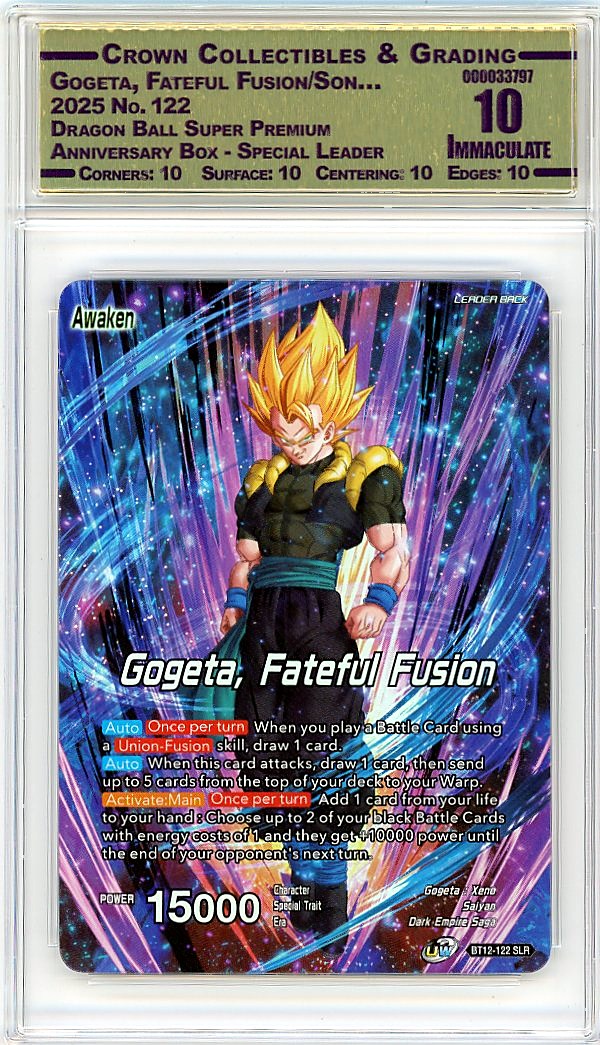 Gogeta, Fateful Fusion/Son…