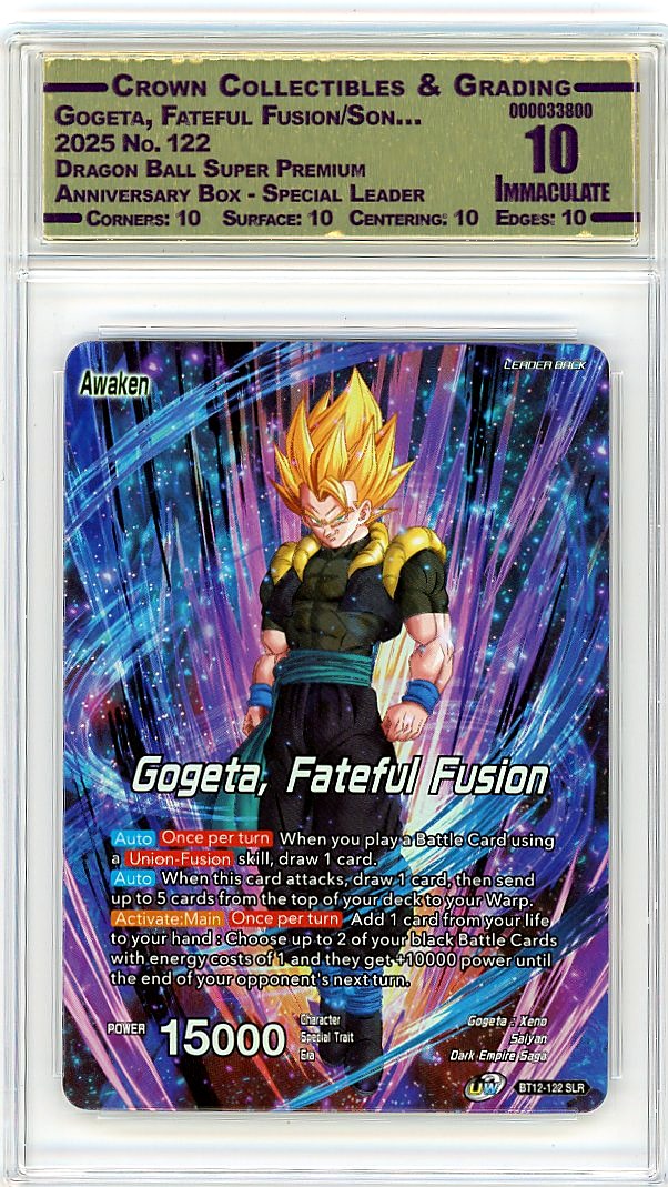 Gogeta, Fateful Fusion/Son…