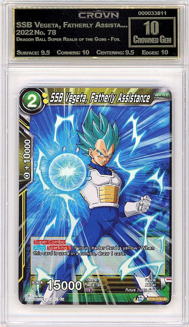 SSB Vegeta, Fatherly Assista...