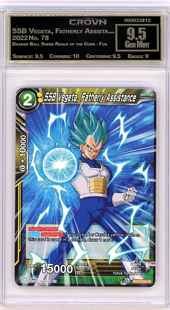 SSB Vegeta, Fatherly Assista...