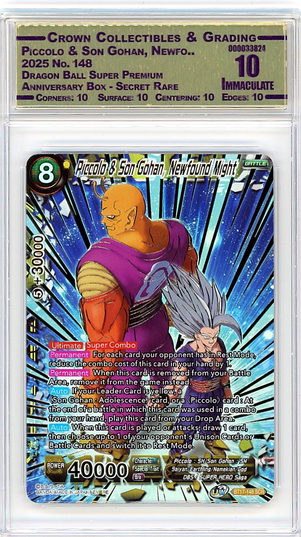 Piccolo & Son Gohan, Newfo..