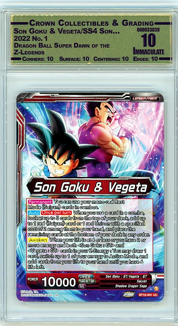 Son Goku & Vegeta/SS4 Son…