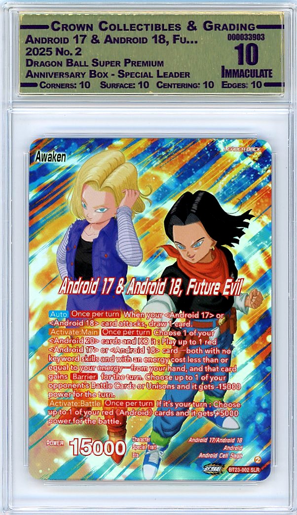 Android 17 & Android 18, Fu…