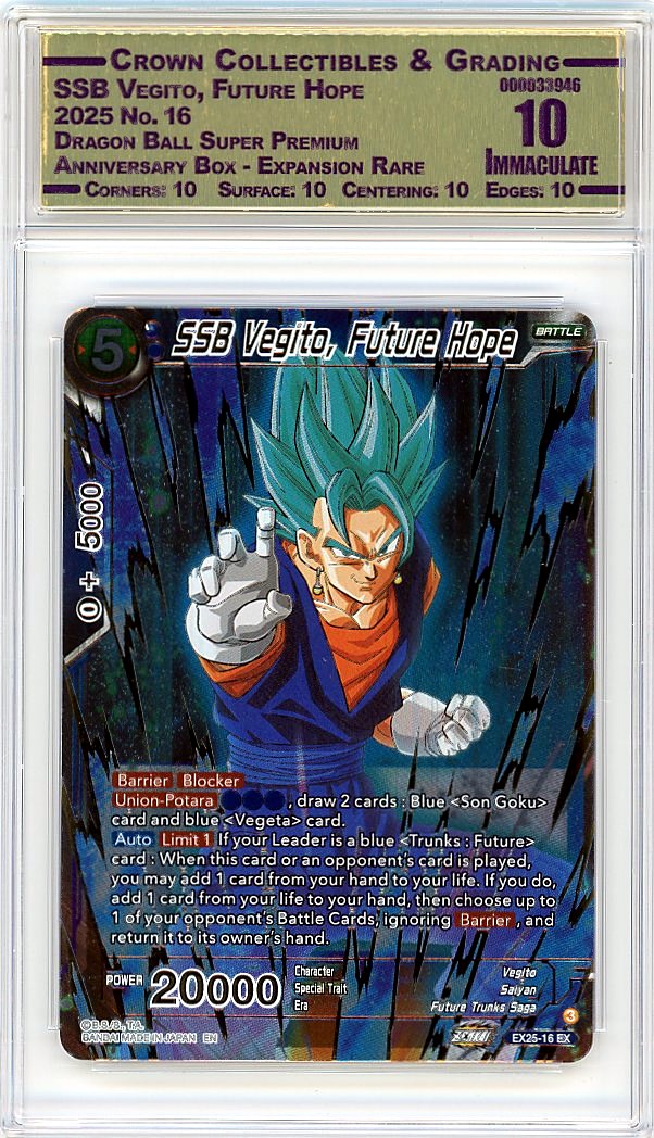 SSB Vegito, Future Hope
