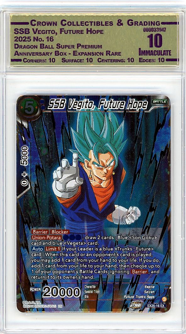 SSB Vegito, Future Hope