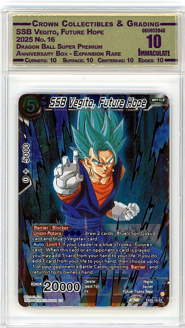 SSB Vegito, Future Hope