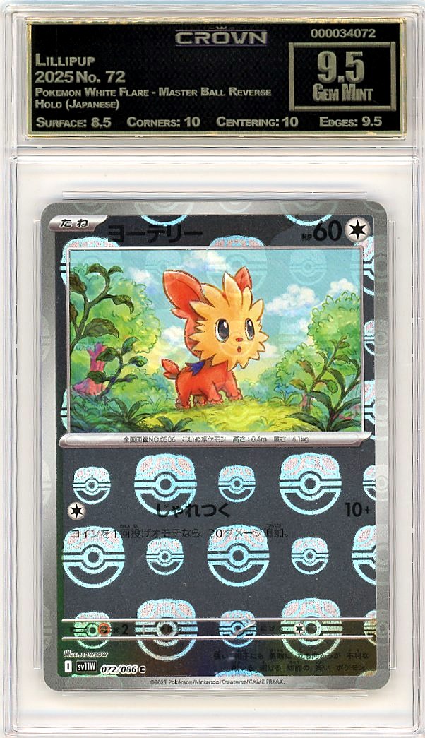Lillipup