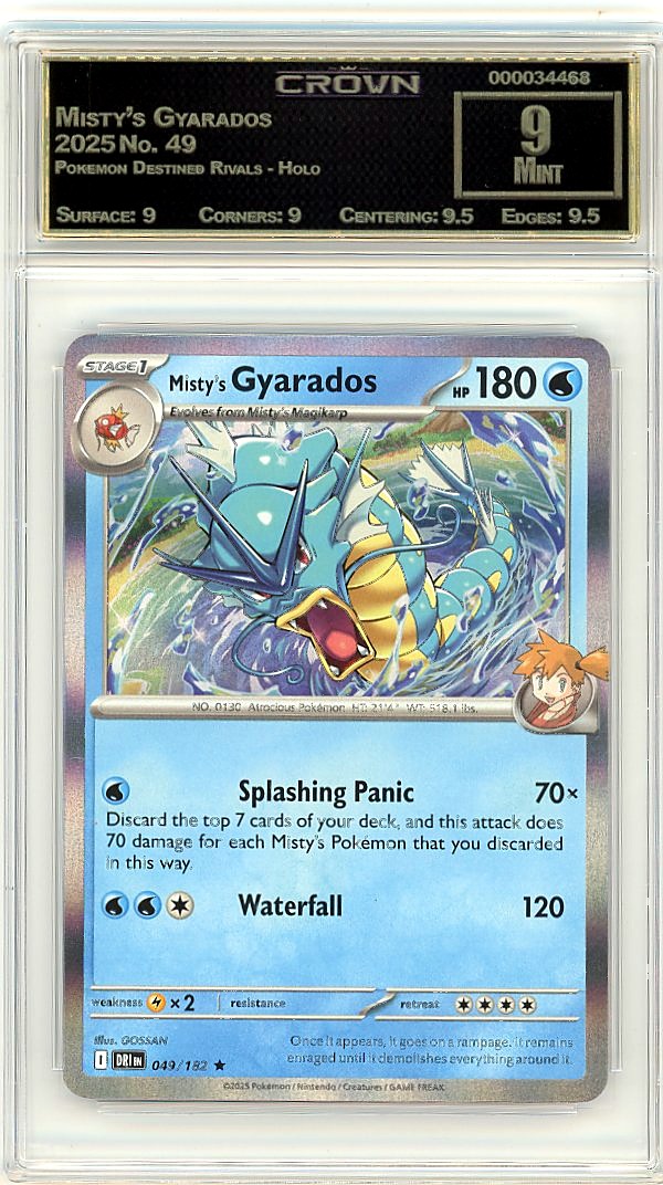 Misty's Gyarados