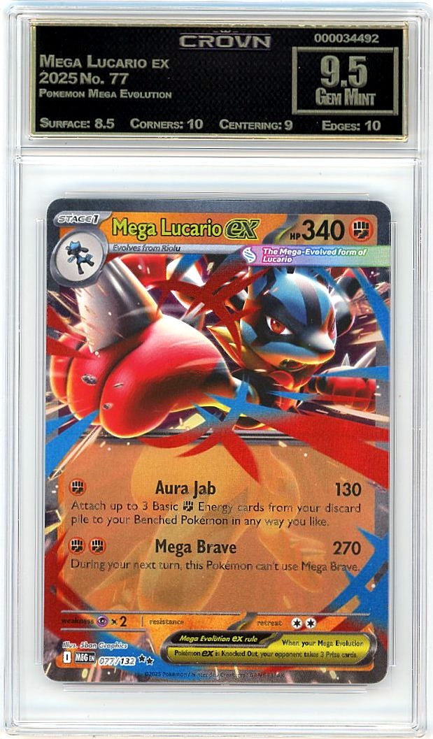 Mega Lucario ex