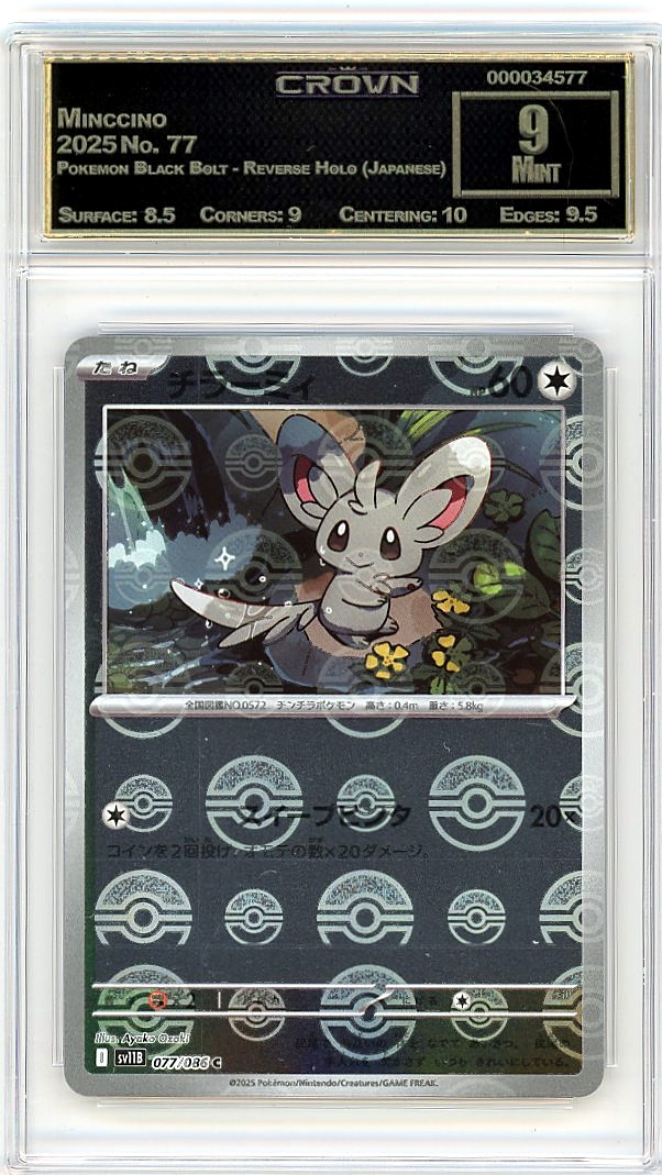 Minccino
