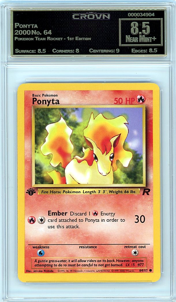 Ponyta