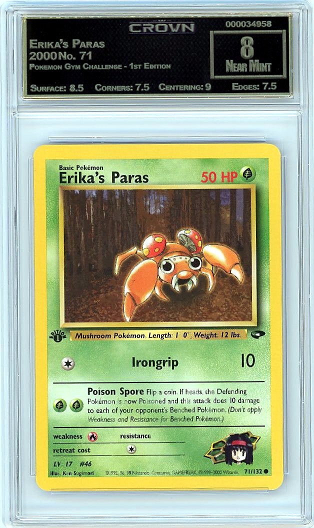 Erika's Paras