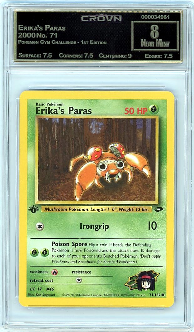 Erika's Paras
