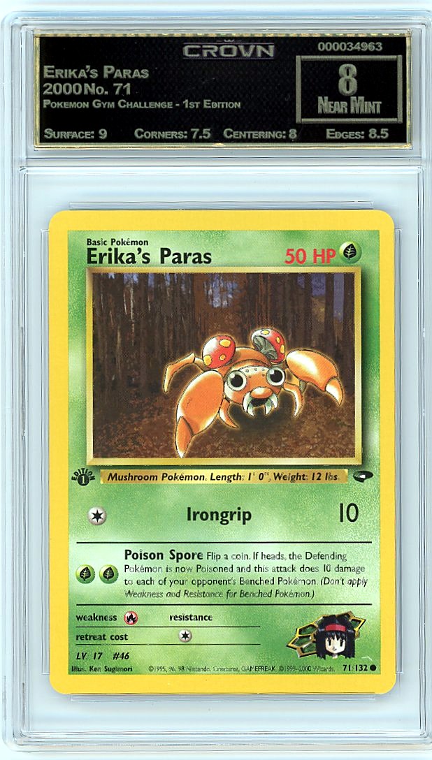 Erika's Paras