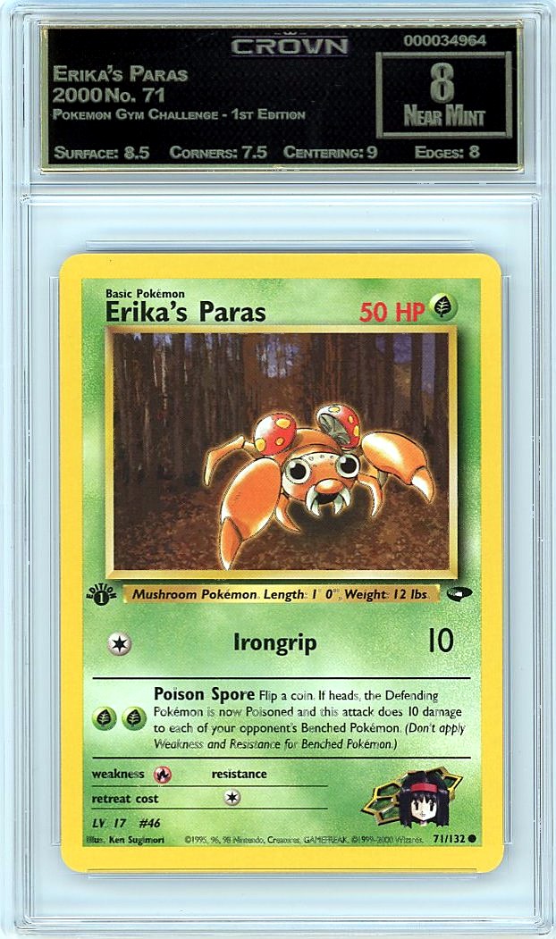 Erika's Paras