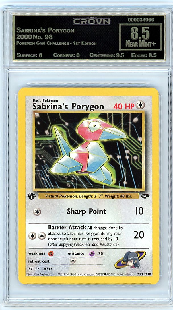 Sabrina's Porygon