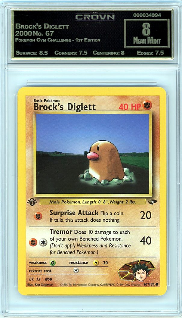 Brock's Diglett