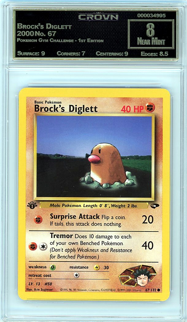 Brock's Diglett
