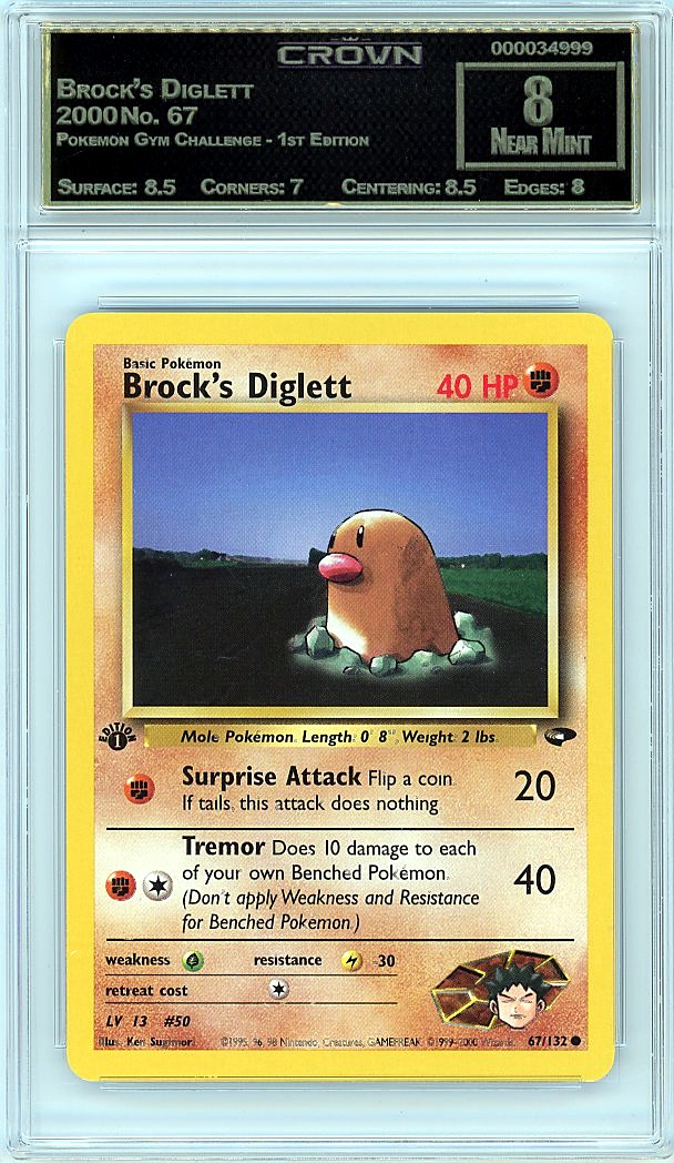 Brock's Diglett