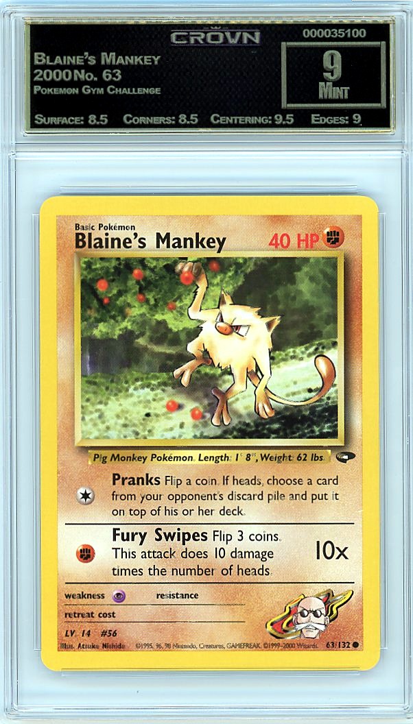 Blaine's Mankey
