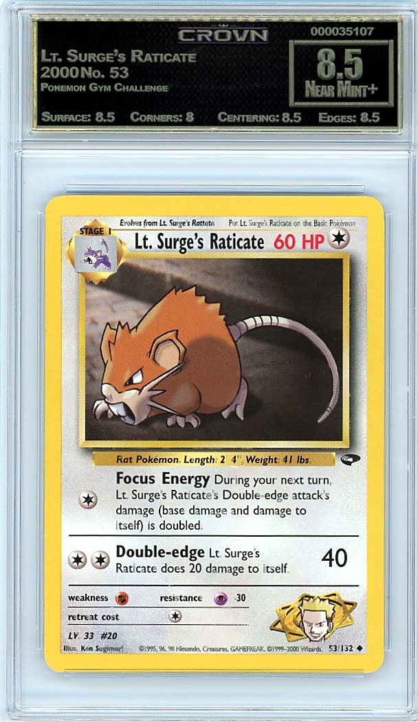 Lt. Surge's Raticate