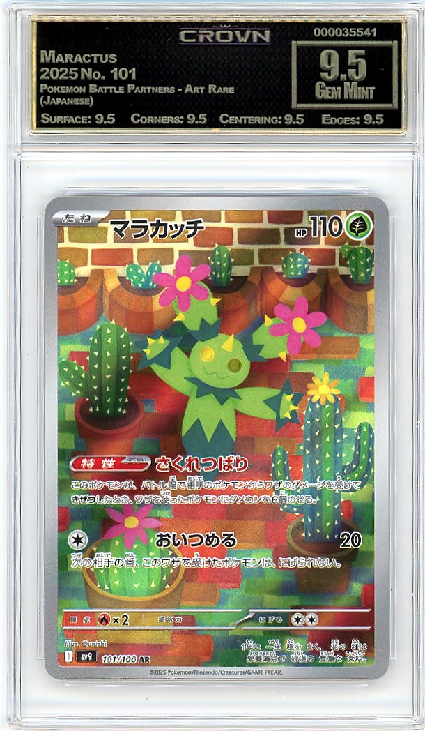 Maractus
