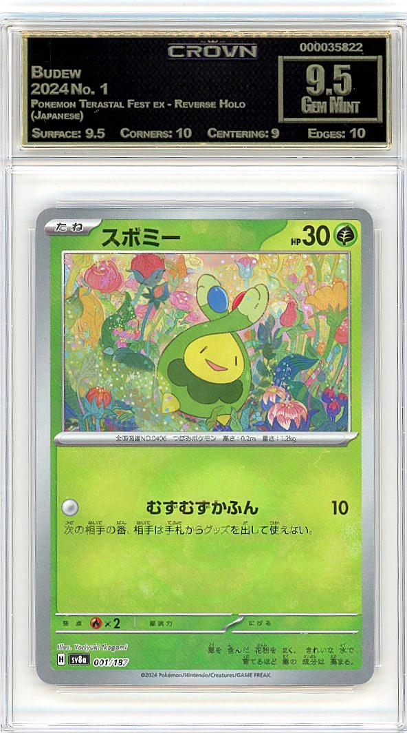 Budew