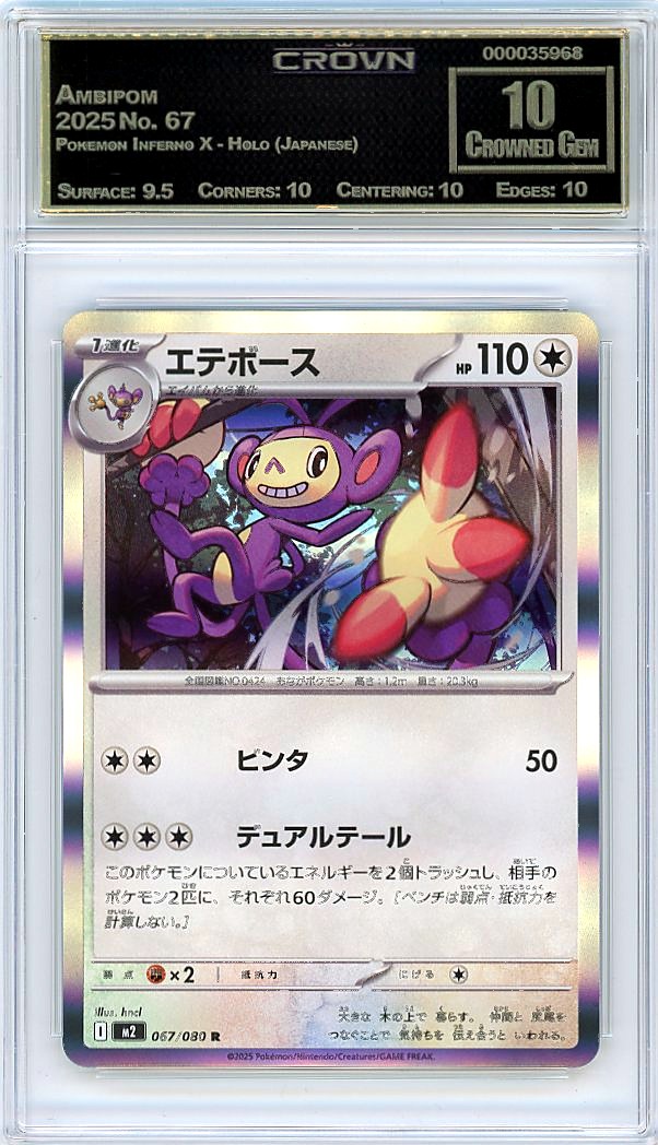 Ambipom