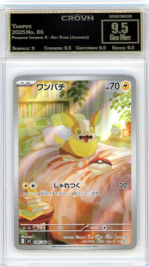 Yamper