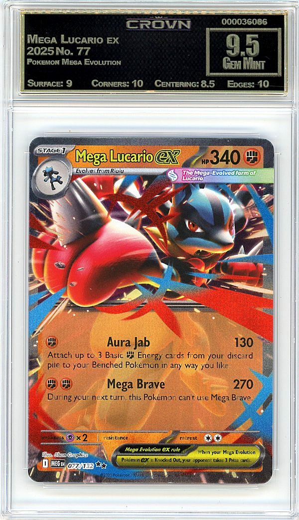 Mega Lucario ex