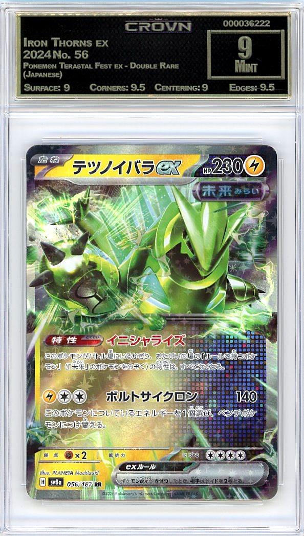 Iron Thorns ex