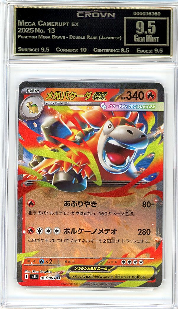 Mega Camerupt ex