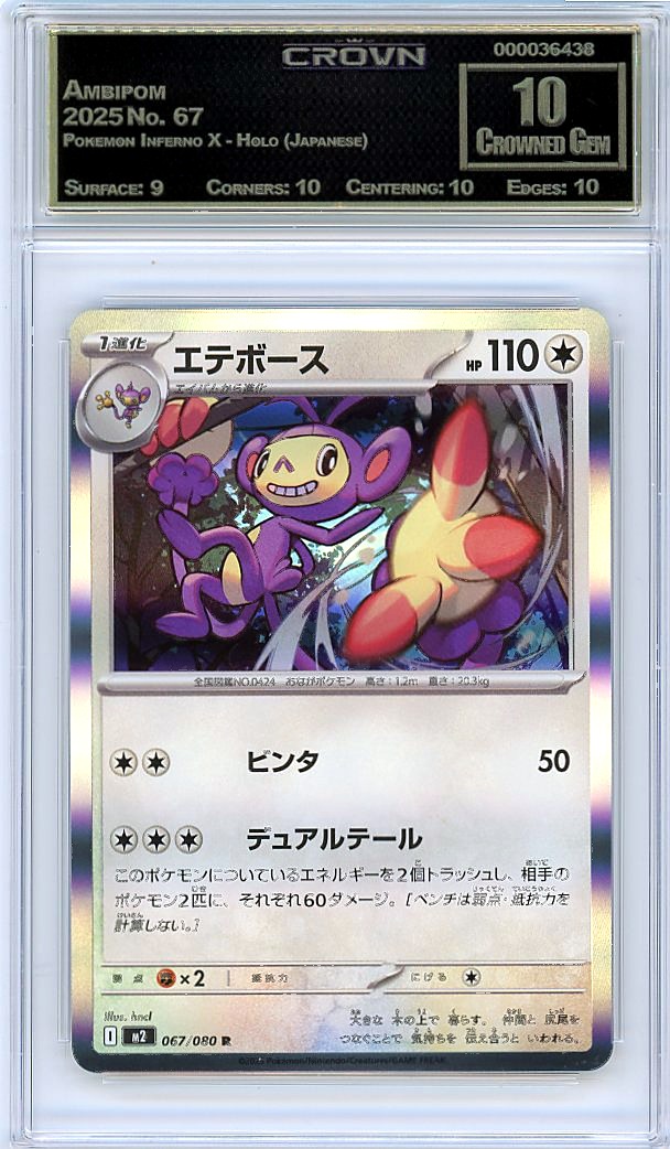 Ambipom