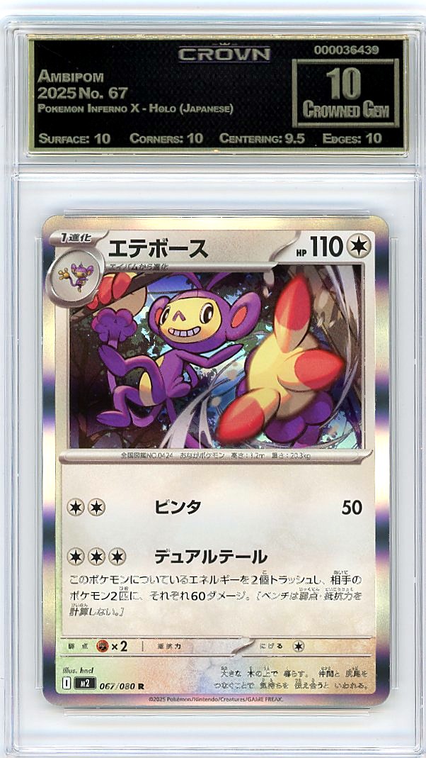 Ambipom