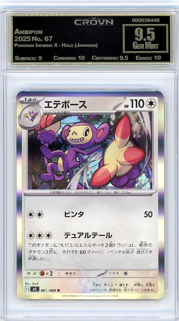 Ambipom