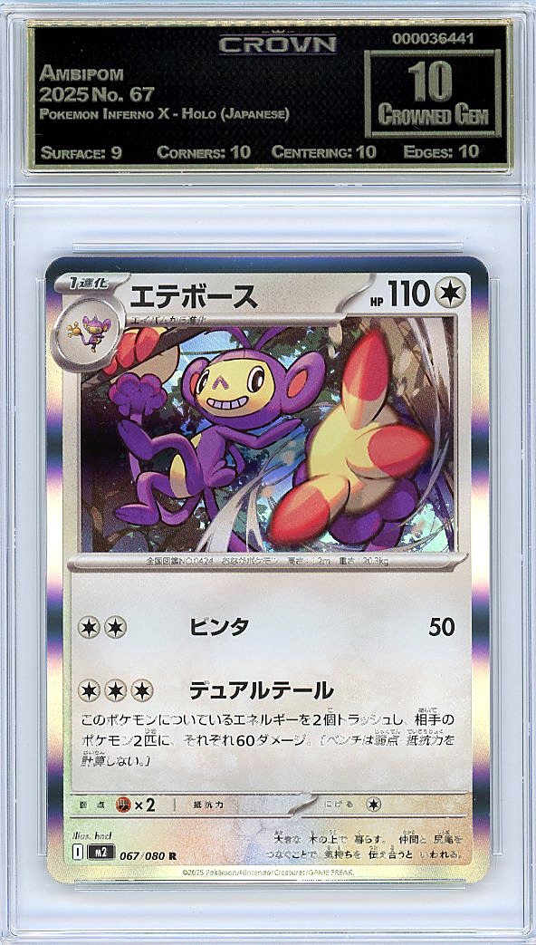 Ambipom