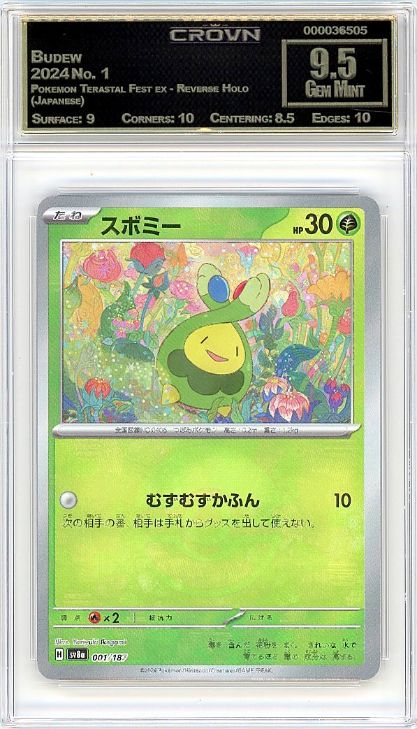 Budew