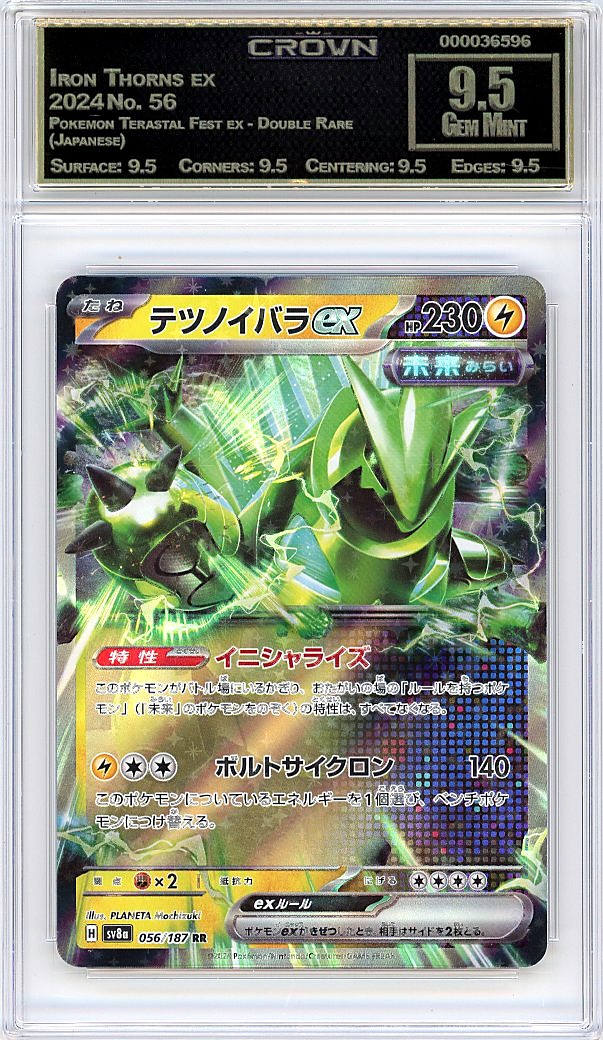 Iron Thorns ex