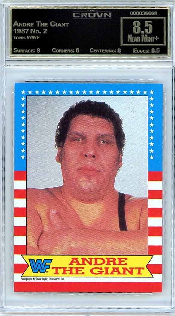 Andre The Giant