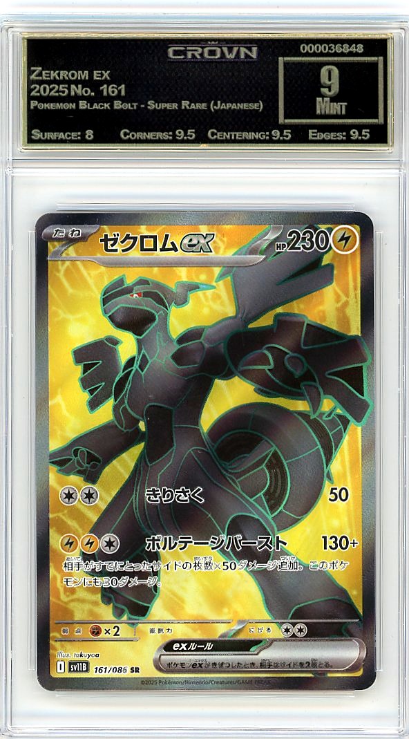 Zekrom ex