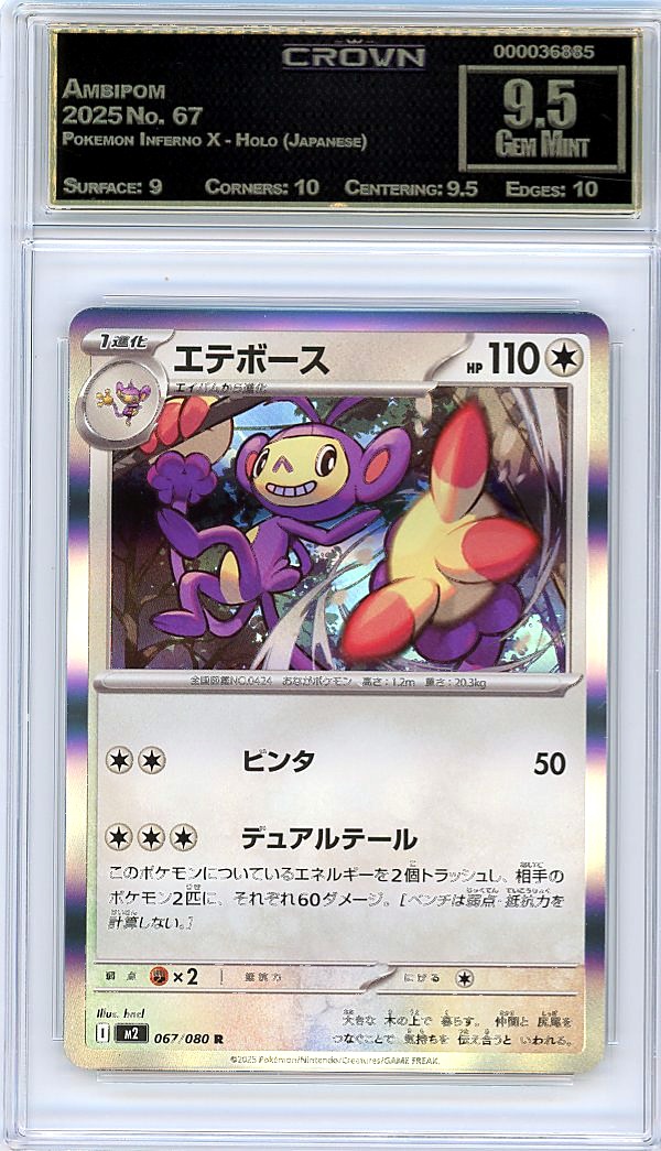 Ambipom