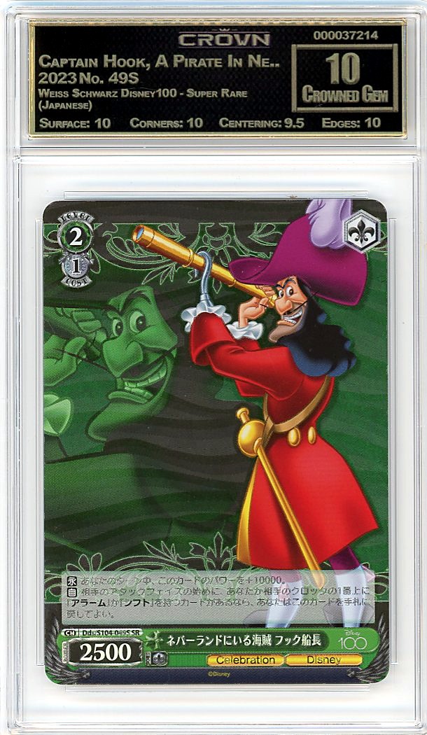Captain Hook, A Pirate In Ne..