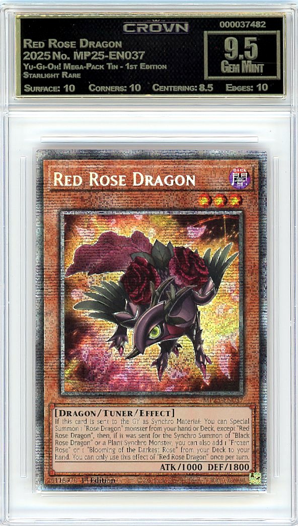 Red Rose Dragon