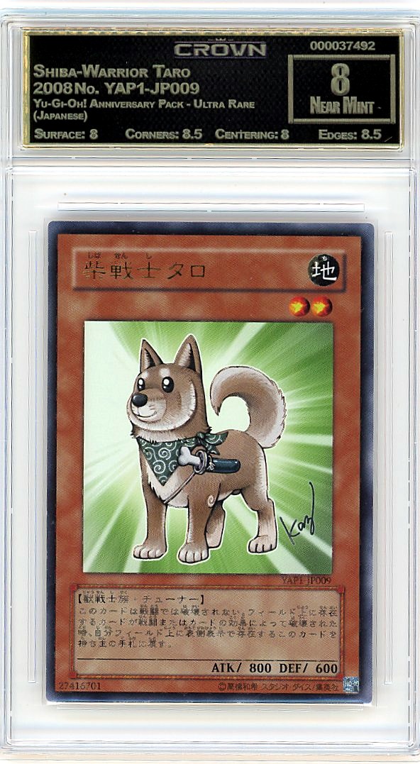 Shiba-Warrior Taro