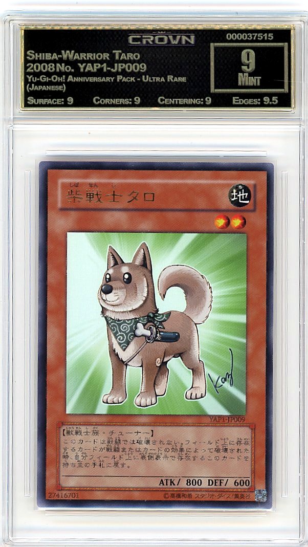 Shiba-Warrior Taro