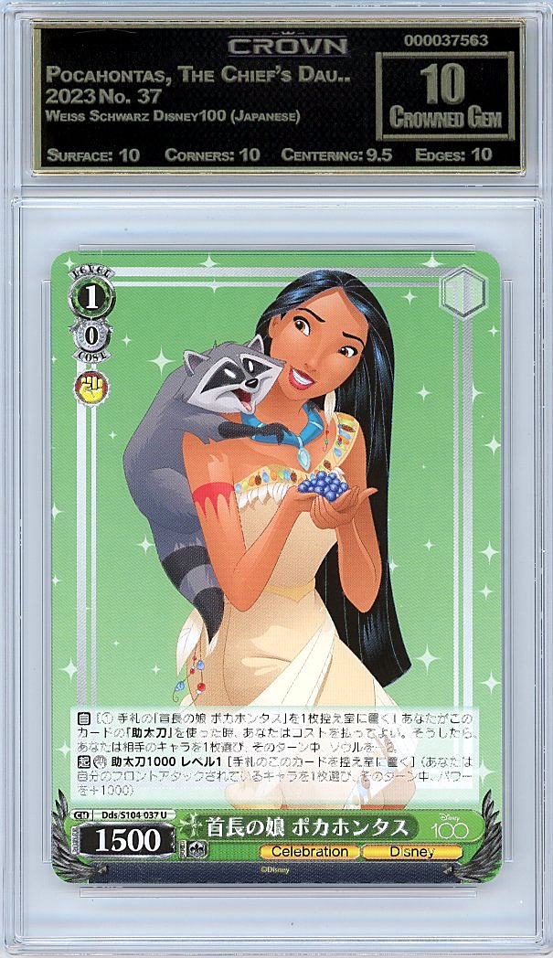Pocahontas, The Chief's Dau..