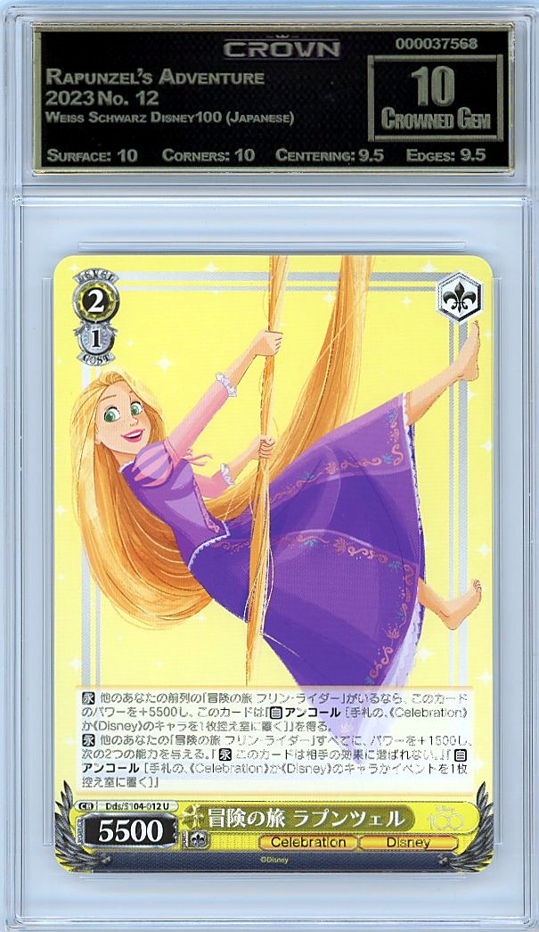 Rapunzel's Adventure