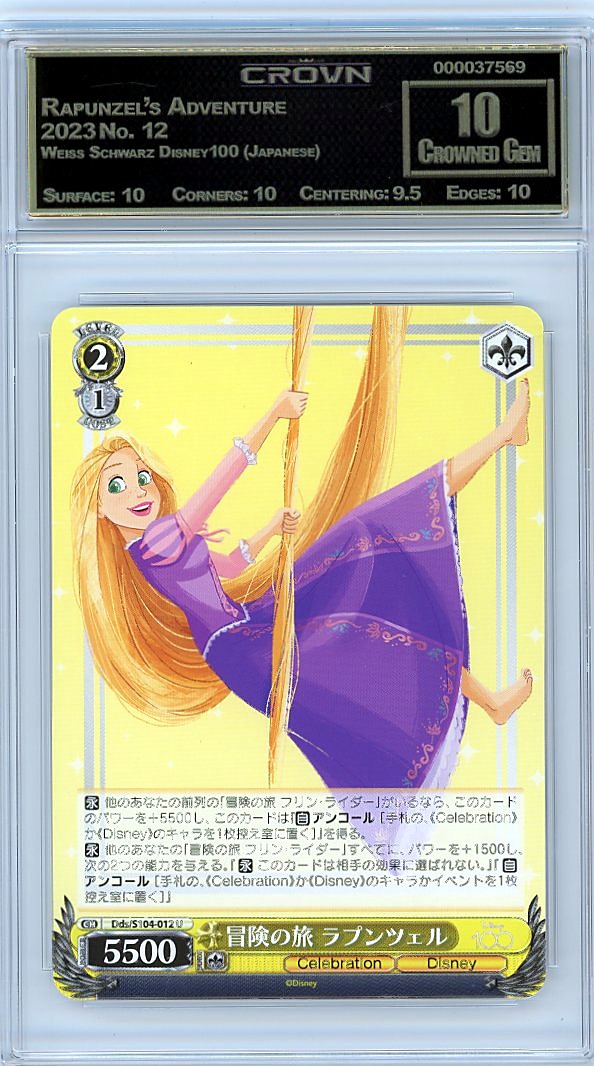 Rapunzel's Adventure
